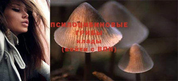 дживик Вяземский