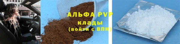 тгк Шали