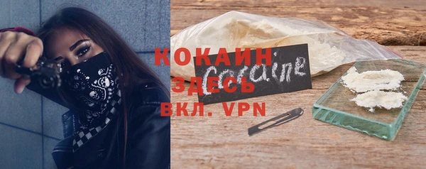 ешки Шадринск