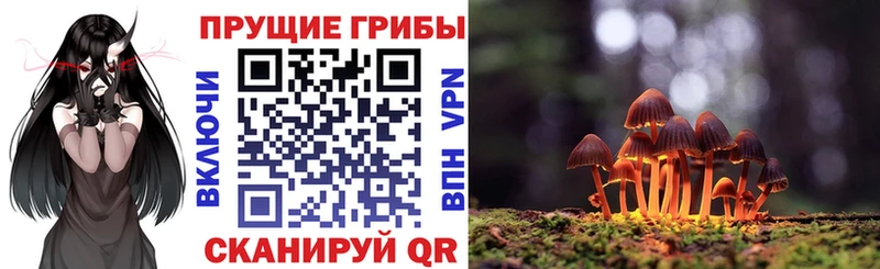 Псилоцибиновые грибы Cubensis  Озёрск 
