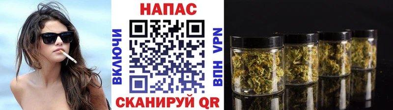 Шишки марихуана план  хочу наркоту  Озёрск 